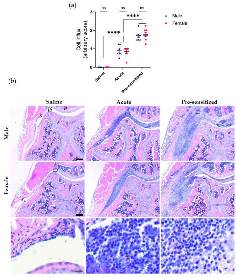 https://cdn.ncbi.nlm.nih.gov/pmc/blobs/0431/10378550/eb8e371c8bd9/cells-12-01913-g001.jpg