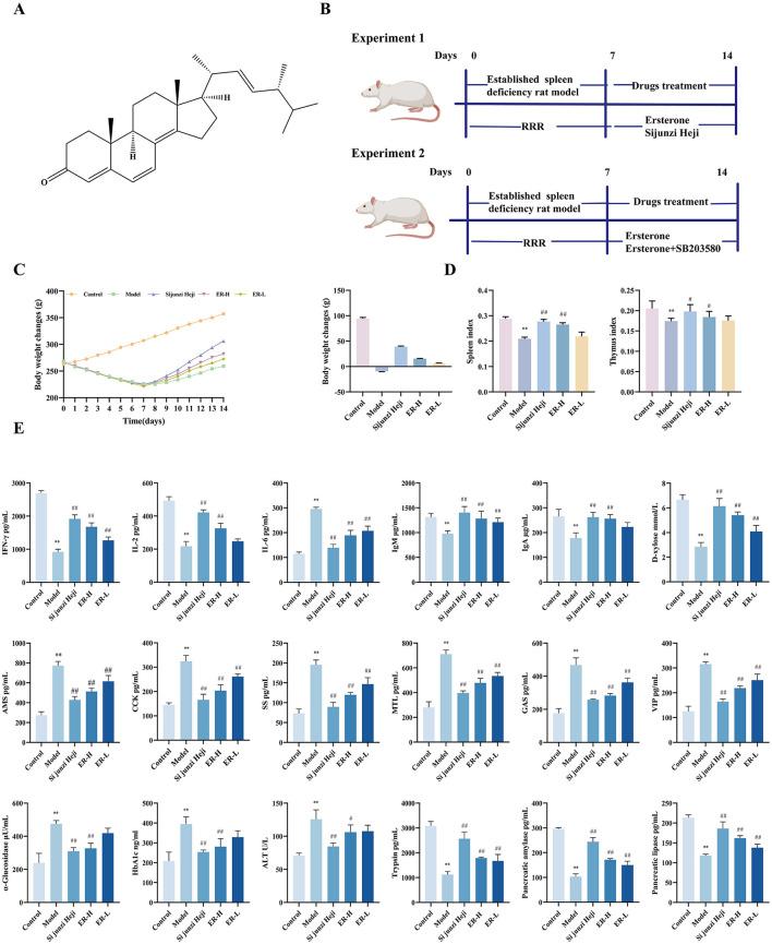https://cdn.ncbi.nlm.nih.gov/pmc/blobs/0431/11920137/6091a080e2bb/fmicb-16-1501068-g0001.jpg