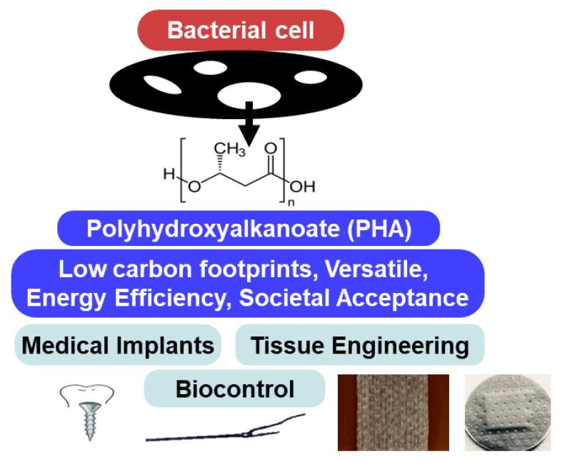 https://cdn.ncbi.nlm.nih.gov/pmc/blobs/0432/10144186/c722ee42ca0b/polymers-15-01937-g001.jpg