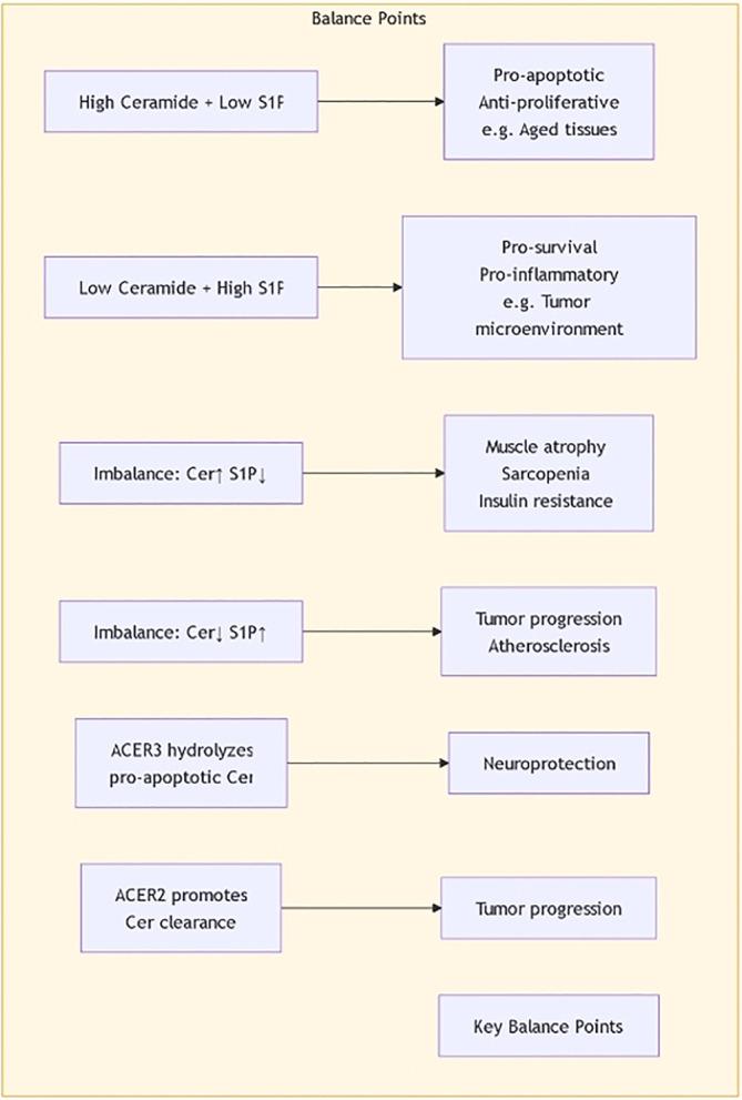 https://cdn.ncbi.nlm.nih.gov/pmc/blobs/0433/12350363/dfad1f944afb/fonc-15-1604227-g004.jpg
