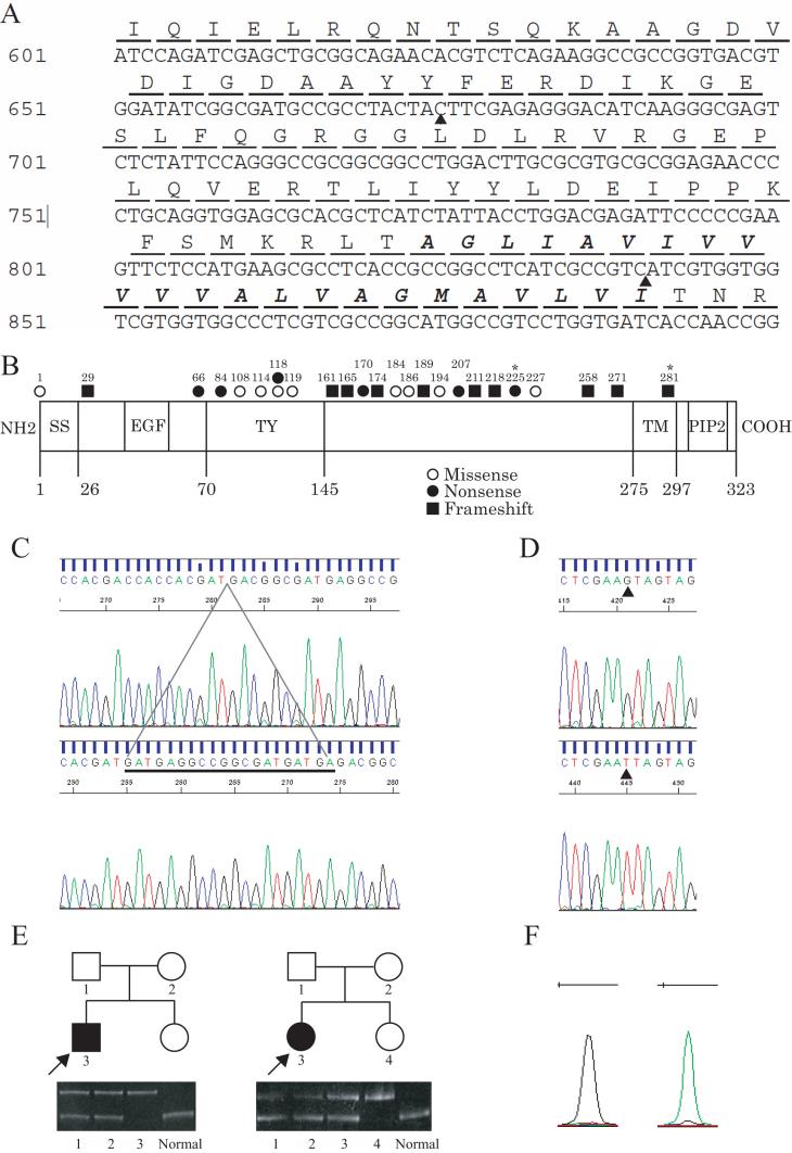 https://cdn.ncbi.nlm.nih.gov/pmc/blobs/0433/3084224/5ff80ae44141/mv-v17-965-f2.jpg