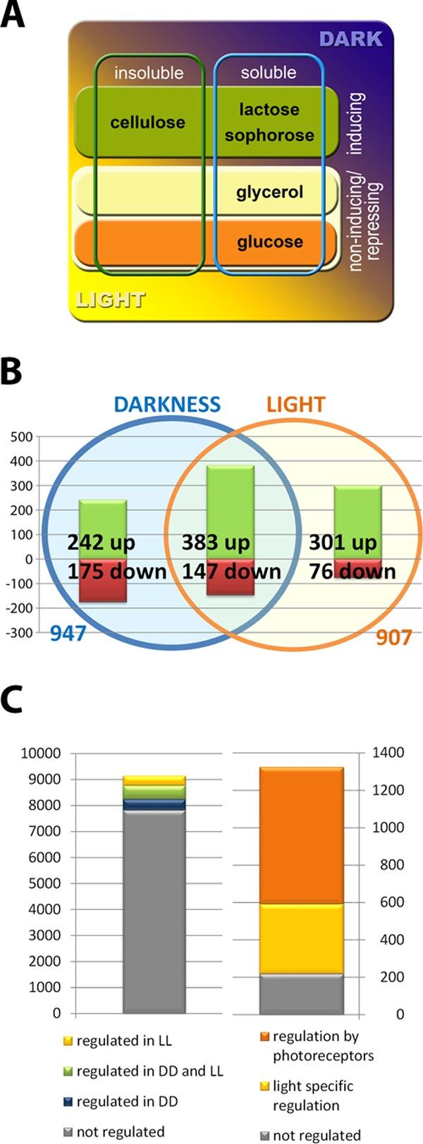 https://cdn.ncbi.nlm.nih.gov/pmc/blobs/0433/5425790/650af9c519ff/sph0031722820001.jpg