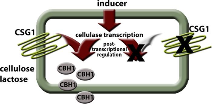https://cdn.ncbi.nlm.nih.gov/pmc/blobs/0433/5425790/c62565c943fd/sph0031722820004.jpg