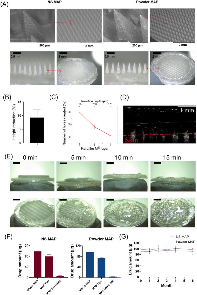 https://cdn.ncbi.nlm.nih.gov/pmc/blobs/0434/11151207/3cf6baae8d53/mp3c01223_0006.jpg