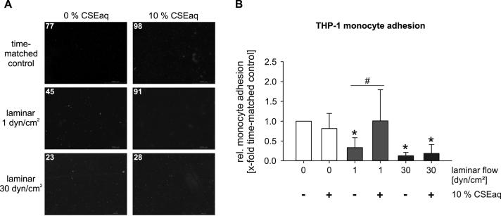 https://cdn.ncbi.nlm.nih.gov/pmc/blobs/0434/5397582/bcb44b304eae/gr5.jpg