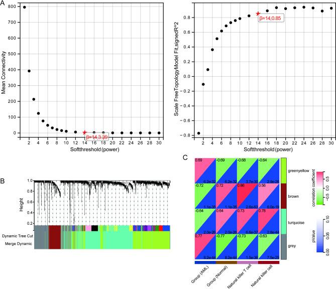 https://cdn.ncbi.nlm.nih.gov/pmc/blobs/0435/11995611/5c64803ae51e/12935_2025_3779_Fig3_HTML.jpg