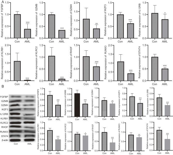 https://cdn.ncbi.nlm.nih.gov/pmc/blobs/0435/11995611/86057a548480/12935_2025_3779_Fig9_HTML.jpg