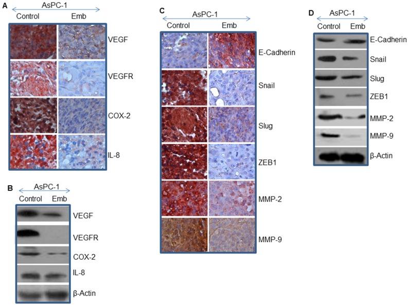 https://cdn.ncbi.nlm.nih.gov/pmc/blobs/0435/3973629/40c90241d45e/pone.0092161.g006.jpg