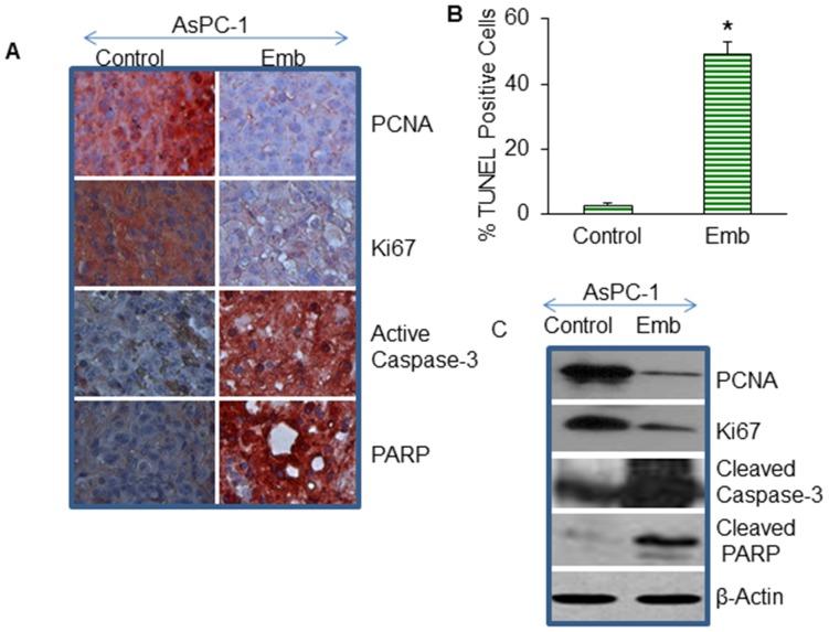 https://cdn.ncbi.nlm.nih.gov/pmc/blobs/0435/3973629/79ec10159915/pone.0092161.g004.jpg
