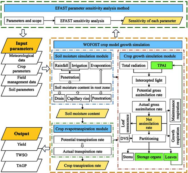 https://cdn.ncbi.nlm.nih.gov/pmc/blobs/0438/11651415/e6142c70f524/plantphenomics.0253.fig.005.jpg