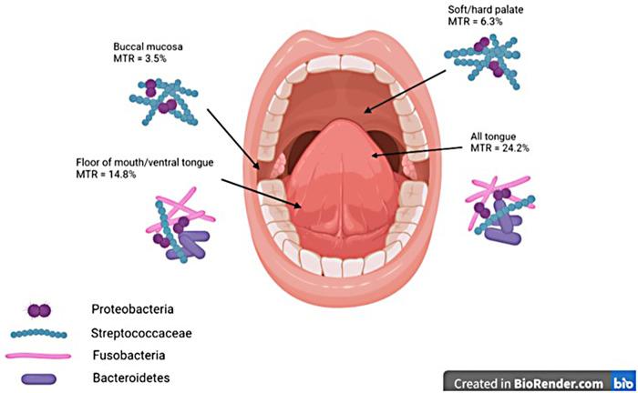 https://cdn.ncbi.nlm.nih.gov/pmc/blobs/0439/10076759/aee4677f4144/froh-04-1166037-g001.jpg