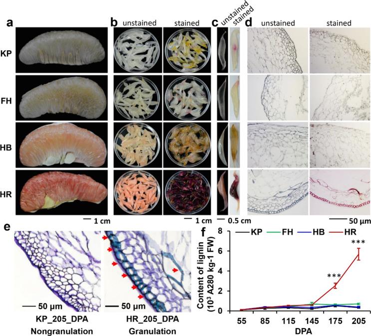 https://cdn.ncbi.nlm.nih.gov/pmc/blobs/0439/7458917/60acd0dc6061/41438_2020_360_Fig1_HTML.jpg
