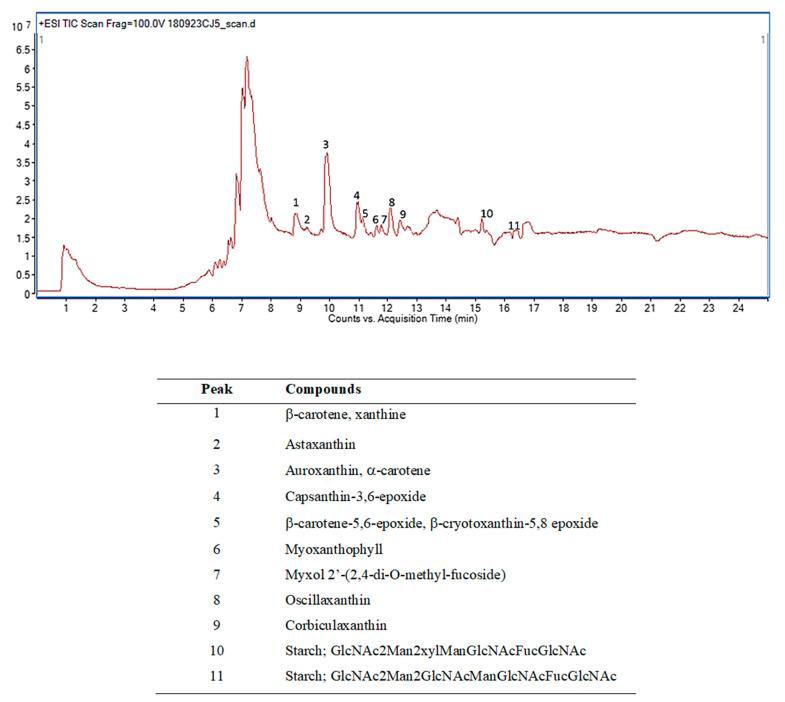https://cdn.ncbi.nlm.nih.gov/pmc/blobs/043a/8270266/68d34c8a4009/molecules-26-03812-g001.jpg