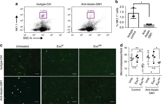 https://cdn.ncbi.nlm.nih.gov/pmc/blobs/043c/5673063/2671318accf6/41467_2017_1433_Fig4_HTML.jpg