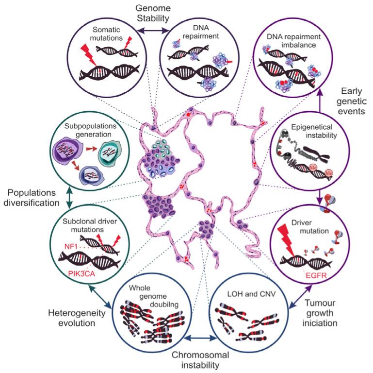 https://cdn.ncbi.nlm.nih.gov/pmc/blobs/043c/8470525/2cf636e0d892/cancers-13-04705-g003.jpg