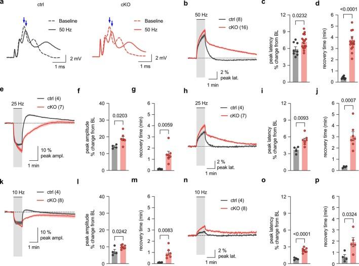 https://cdn.ncbi.nlm.nih.gov/pmc/blobs/043e/10917689/0235ecbbe6b1/41593_2023_1558_Fig15_ESM.jpg