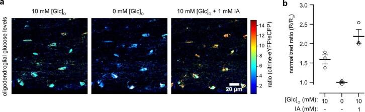 https://cdn.ncbi.nlm.nih.gov/pmc/blobs/043e/10917689/19ea26fb2b0c/41593_2023_1558_Fig9_ESM.jpg