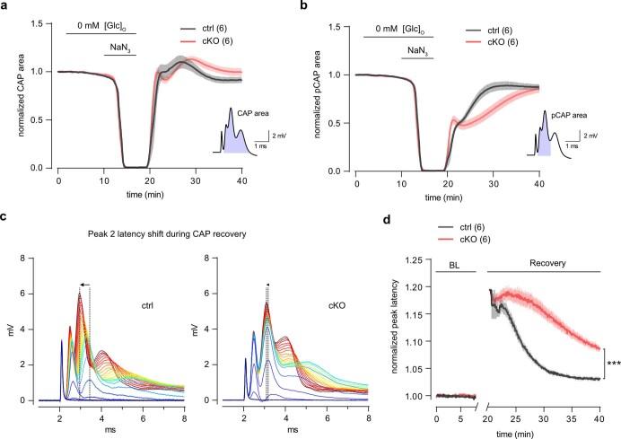 https://cdn.ncbi.nlm.nih.gov/pmc/blobs/043e/10917689/8515dc401d14/41593_2023_1558_Fig18_ESM.jpg