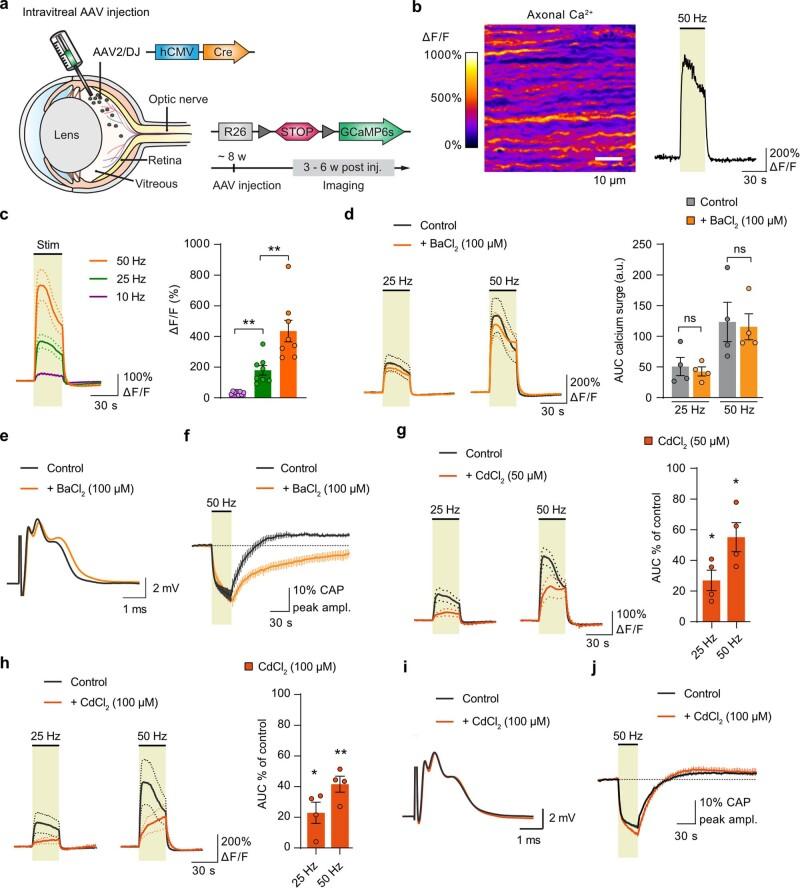 https://cdn.ncbi.nlm.nih.gov/pmc/blobs/043e/10917689/b1f48aa5fd12/41593_2023_1558_Fig11_ESM.jpg