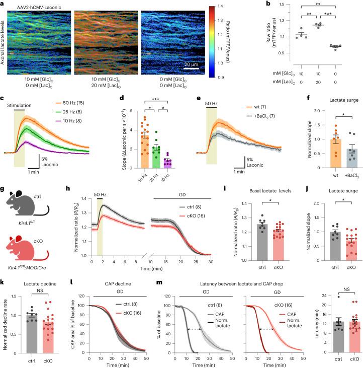 https://cdn.ncbi.nlm.nih.gov/pmc/blobs/043e/10917689/c4f5b3cdb3ff/41593_2023_1558_Fig3_HTML.jpg