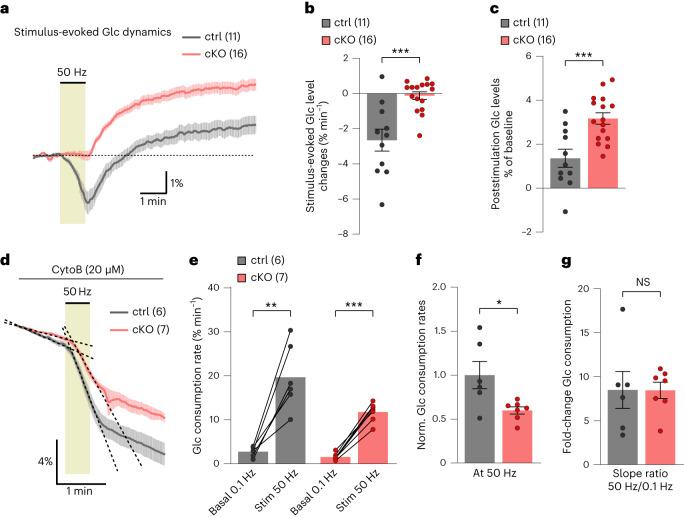 https://cdn.ncbi.nlm.nih.gov/pmc/blobs/043e/10917689/e6b4564bd3f1/41593_2023_1558_Fig7_HTML.jpg