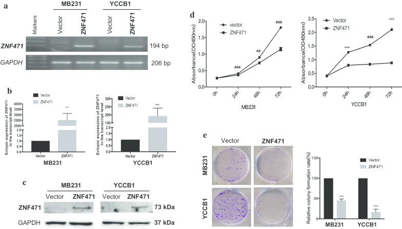https://cdn.ncbi.nlm.nih.gov/pmc/blobs/043e/7672945/0039bbd14fdf/13148_2020_959_Fig3_HTML.jpg