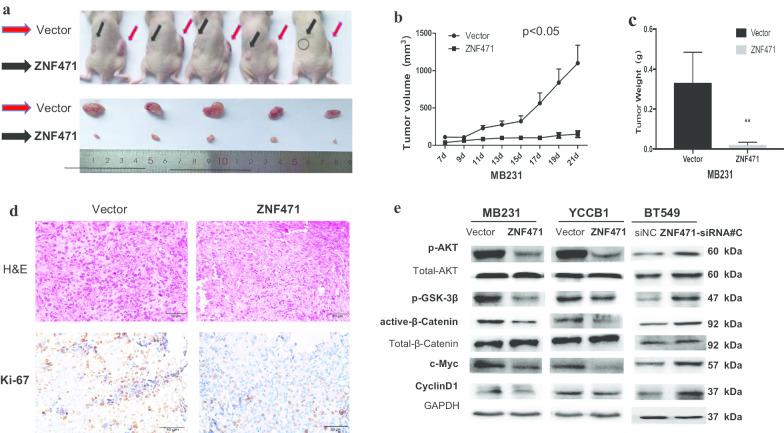 https://cdn.ncbi.nlm.nih.gov/pmc/blobs/043e/7672945/4ab4a80d0a5c/13148_2020_959_Fig8_HTML.jpg