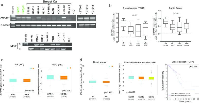 https://cdn.ncbi.nlm.nih.gov/pmc/blobs/043e/7672945/70d461425212/13148_2020_959_Fig1_HTML.jpg