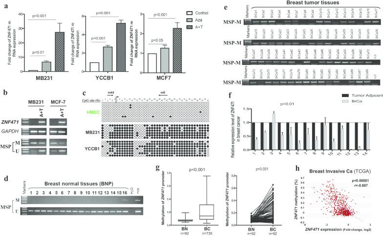 https://cdn.ncbi.nlm.nih.gov/pmc/blobs/043e/7672945/9e827ad8b118/13148_2020_959_Fig2_HTML.jpg
