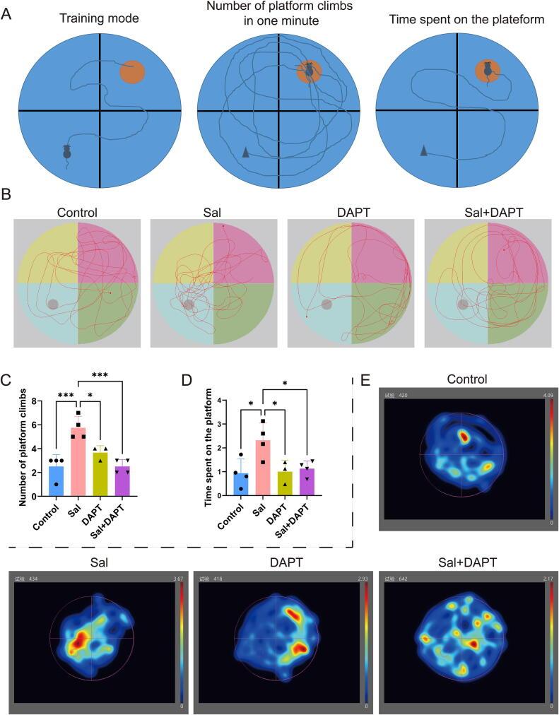 https://cdn.ncbi.nlm.nih.gov/pmc/blobs/043f/11785571/5785fda447e8/gr4.jpg