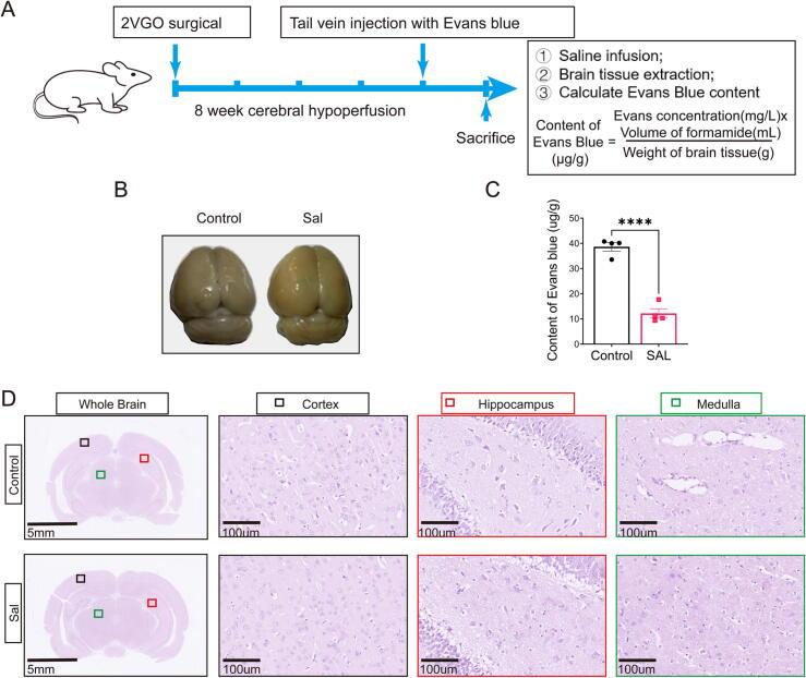 https://cdn.ncbi.nlm.nih.gov/pmc/blobs/043f/11785571/6d657b216f81/gr3.jpg