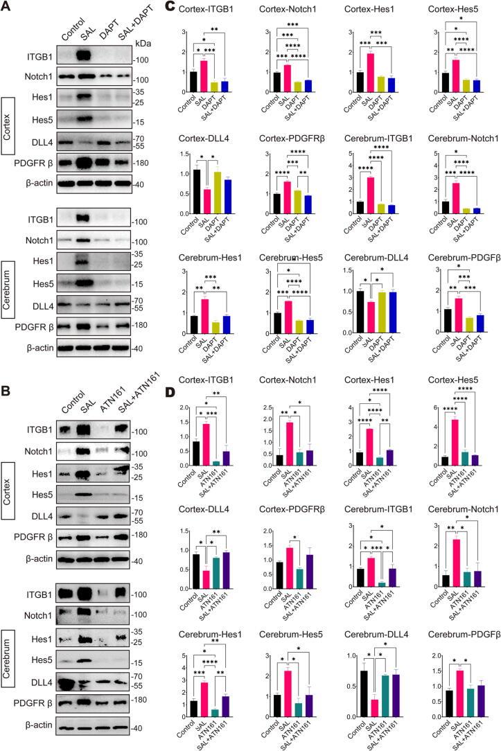 https://cdn.ncbi.nlm.nih.gov/pmc/blobs/043f/11785571/94e782830fef/gr8.jpg