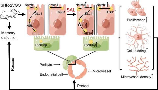 https://cdn.ncbi.nlm.nih.gov/pmc/blobs/043f/11785571/ebdf8160bb7e/ga1.jpg