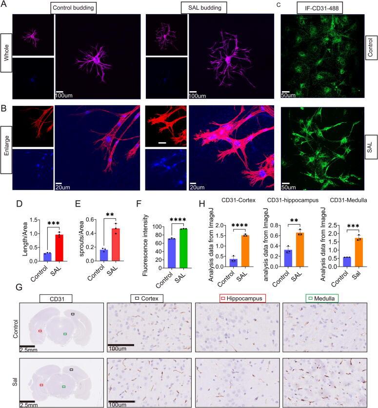 https://cdn.ncbi.nlm.nih.gov/pmc/blobs/043f/11785571/eee2d53f6c03/gr5.jpg
