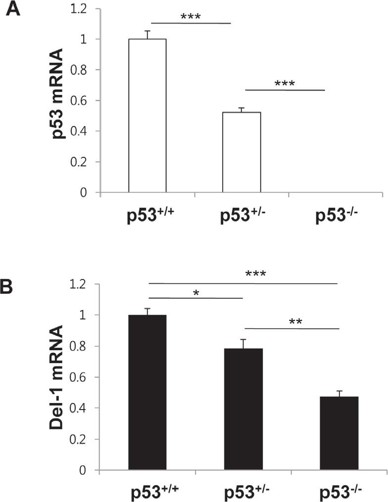 https://cdn.ncbi.nlm.nih.gov/pmc/blobs/0440/3875763/d85b0b04cdb4/oncotarget-04-1976-g006.jpg