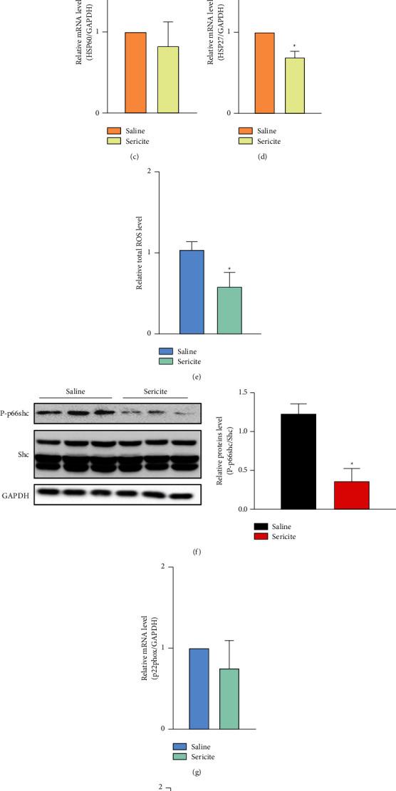 https://cdn.ncbi.nlm.nih.gov/pmc/blobs/0442/9527418/48a59f8ac355/ECAM2022-2885293.004.jpg