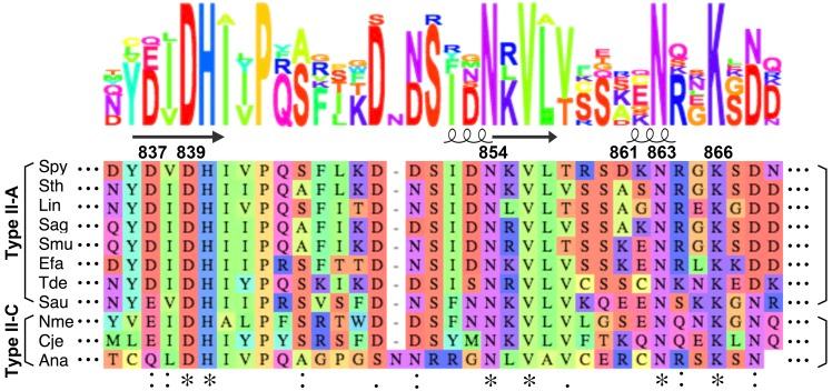 https://cdn.ncbi.nlm.nih.gov/pmc/blobs/0443/6706240/0c3b057cc966/elife-46500-fig2-figsupp2.jpg