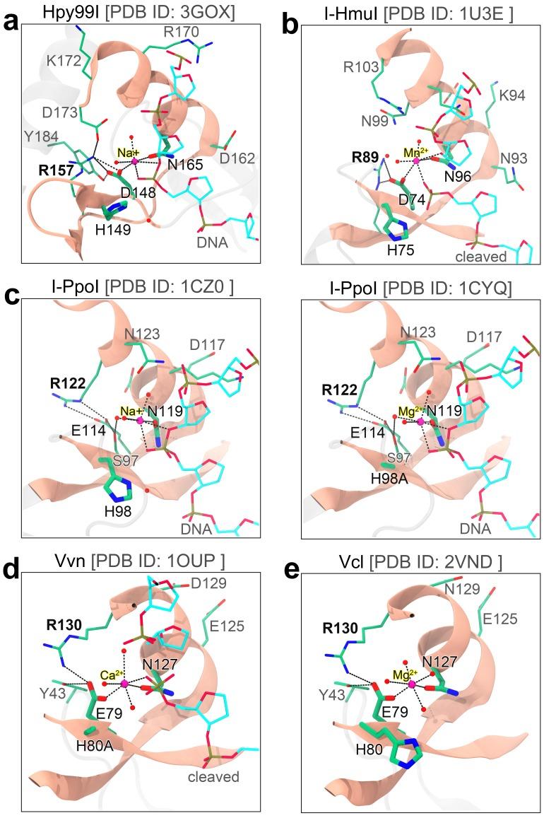 https://cdn.ncbi.nlm.nih.gov/pmc/blobs/0443/6706240/855df5b25ea2/elife-46500-fig2-figsupp1.jpg