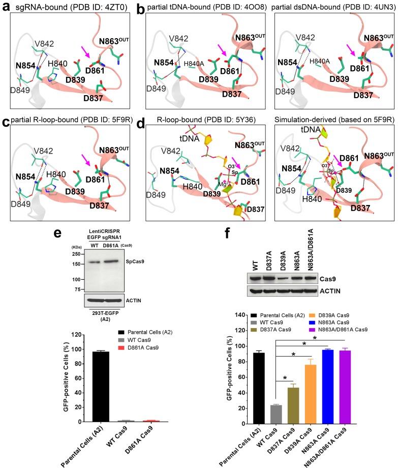https://cdn.ncbi.nlm.nih.gov/pmc/blobs/0443/6706240/94347854cff1/elife-46500-fig1.jpg