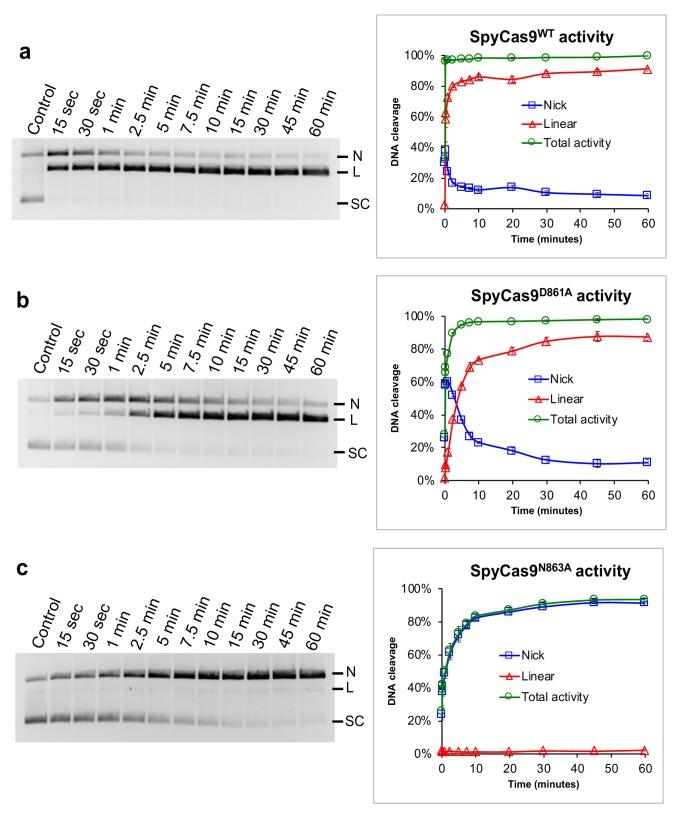 https://cdn.ncbi.nlm.nih.gov/pmc/blobs/0443/6706240/9ed5584b5689/elife-46500-fig1-figsupp2.jpg