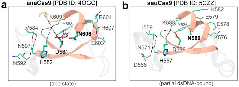 https://cdn.ncbi.nlm.nih.gov/pmc/blobs/0443/6706240/a2a745a58425/elife-46500-fig1-figsupp5.jpg
