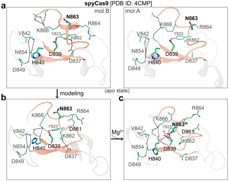 https://cdn.ncbi.nlm.nih.gov/pmc/blobs/0443/6706240/afd03d3445d4/elife-46500-fig1-figsupp4.jpg