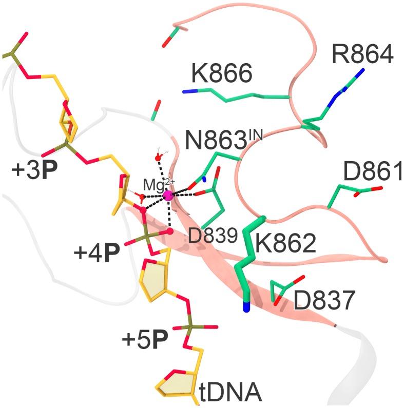 https://cdn.ncbi.nlm.nih.gov/pmc/blobs/0443/6706240/e03c6d6778a6/elife-46500-fig2-figsupp3.jpg
