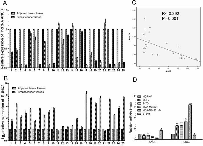 https://cdn.ncbi.nlm.nih.gov/pmc/blobs/0447/5620176/091dbc6b615e/oncotarget-08-67329-g008.jpg