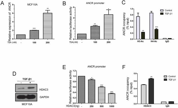 https://cdn.ncbi.nlm.nih.gov/pmc/blobs/0447/5620176/8fe92ca101aa/oncotarget-08-67329-g004.jpg