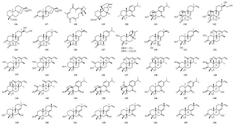 https://cdn.ncbi.nlm.nih.gov/pmc/blobs/0448/11173346/3d62a420b43f/ijms-25-06057-g004.jpg