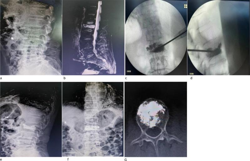 https://cdn.ncbi.nlm.nih.gov/pmc/blobs/0449/11523804/87bab172da1e/12891_2024_7980_Fig8_HTML.jpg