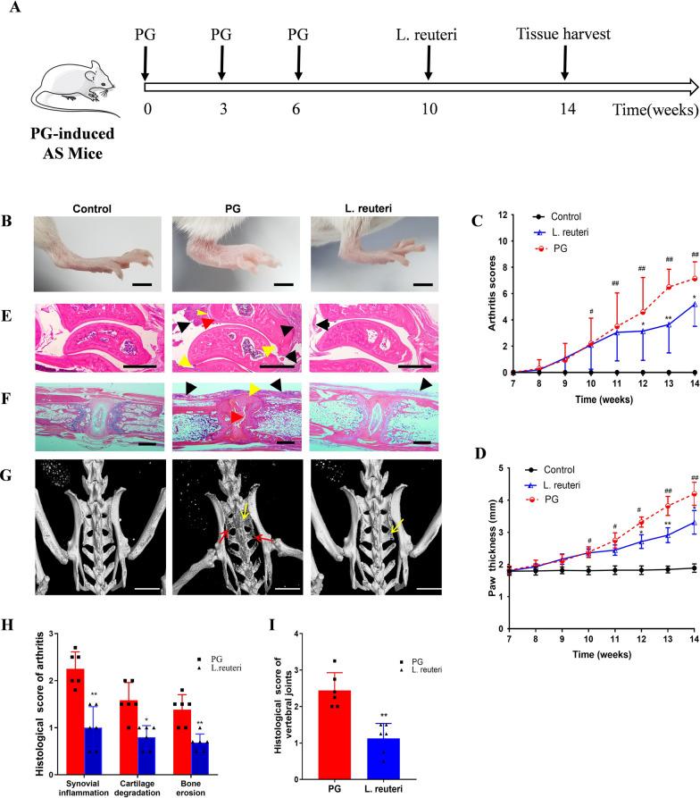 https://cdn.ncbi.nlm.nih.gov/pmc/blobs/044a/12217300/5be7e433ada5/12967_2025_6681_Fig1_HTML.jpg