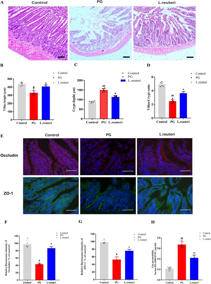 https://cdn.ncbi.nlm.nih.gov/pmc/blobs/044a/12217300/da4ab23ac888/12967_2025_6681_Fig3_HTML.jpg