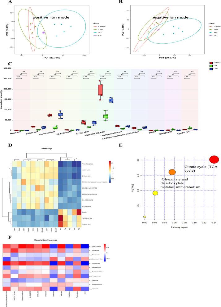 https://cdn.ncbi.nlm.nih.gov/pmc/blobs/044a/12217300/f587b5bd94ce/12967_2025_6681_Fig6_HTML.jpg